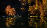 433 - FEERIE AUTOMNALE - HYVERNAUD MARIE - france <div : Paysages-Ariège-automne-Lac de Bethmale-lumière-octobre2016-Marie Hyvernaud